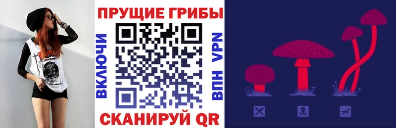 Галлюциногенные грибы мухоморы  ссылка на мегу tor  Иноземцево 